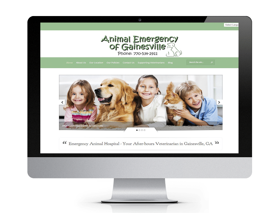 Veterinary website design, custom web design - Gainesville, GA - North Georgia