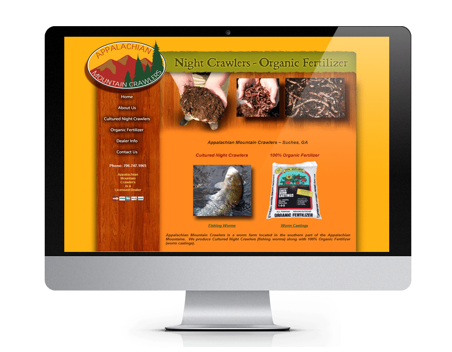 eCommerce Website, Custom website design - Gainesville, GA - North Georgia